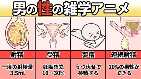 エロ 射精|ところてん射精って何？そのメカニズムと正しいやり方を徹底解 .